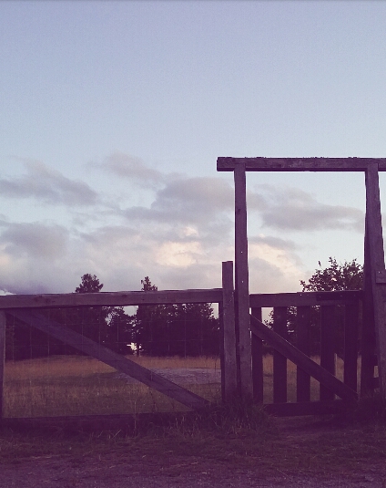 Miksi valitsisimme vähemmän?