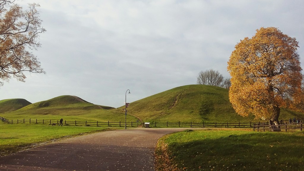 Vain puolikas jäljellä