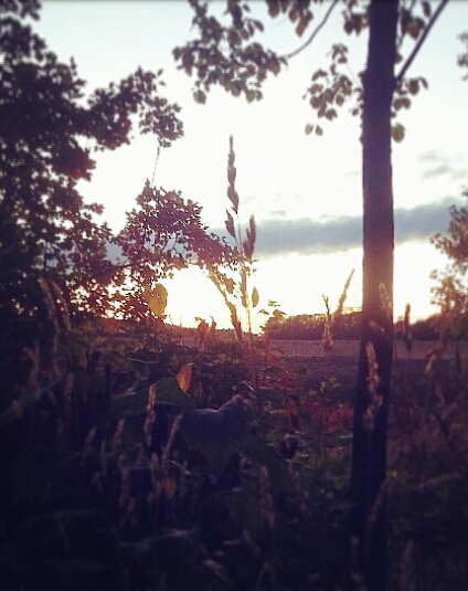 Maisema suorittamisen takana