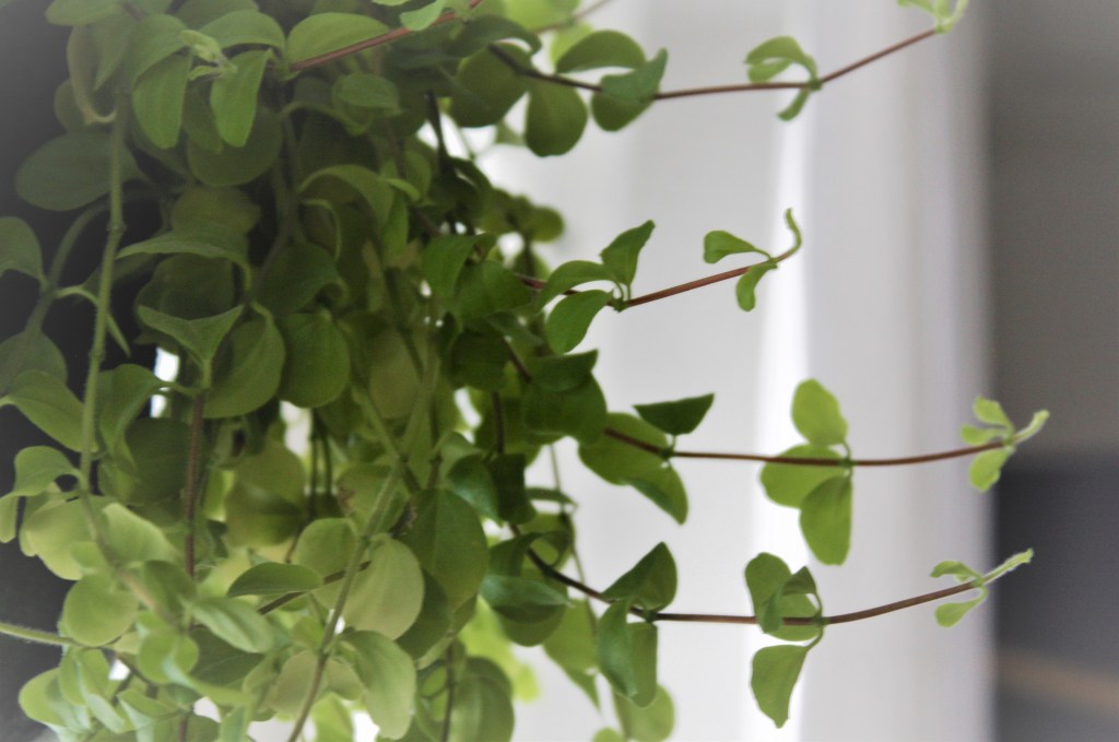 Kiire ja suorittaminen tukahduttavat luontaisen&nbsp;herkkyytemme