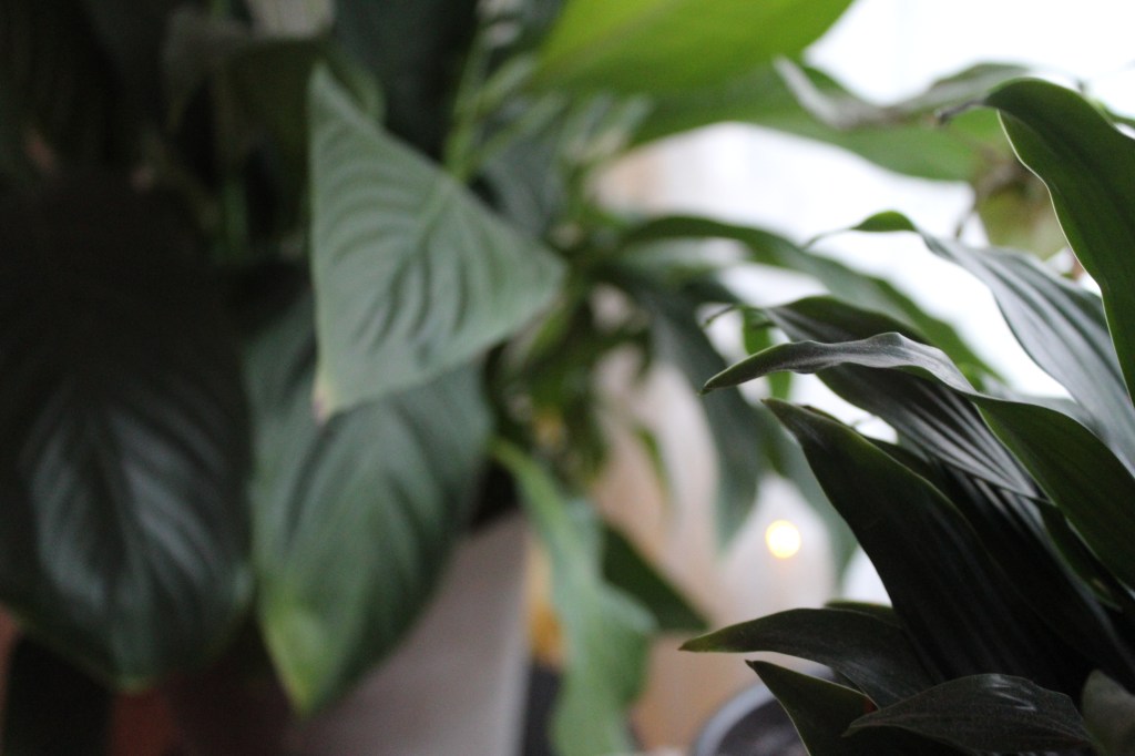 Tekoäly ei osaa&nbsp;tuntea